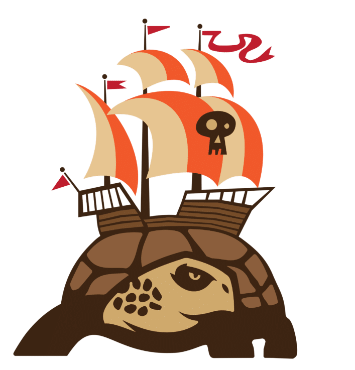 PROJET ILE DE TORTUGA LILLE